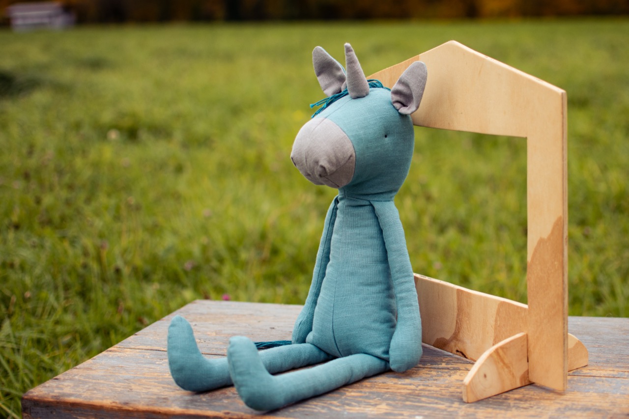 Jednorožec Pomněnka